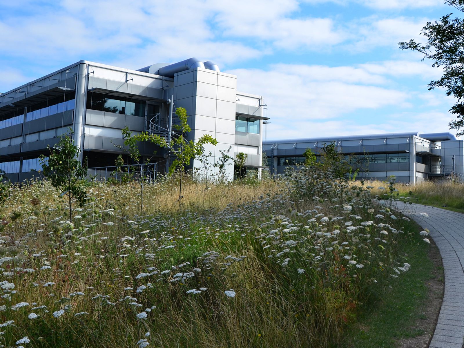 Toyota Careers & Jobs Search Discover Toyota Toyota UK