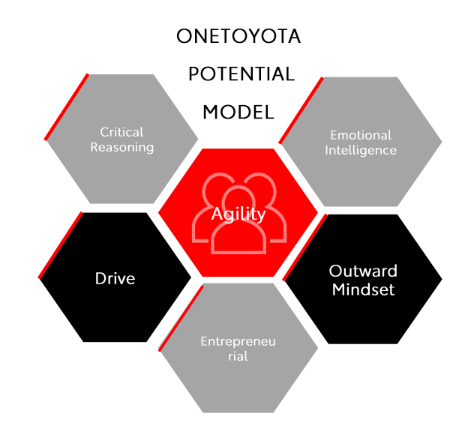 OneToyota Potential Model